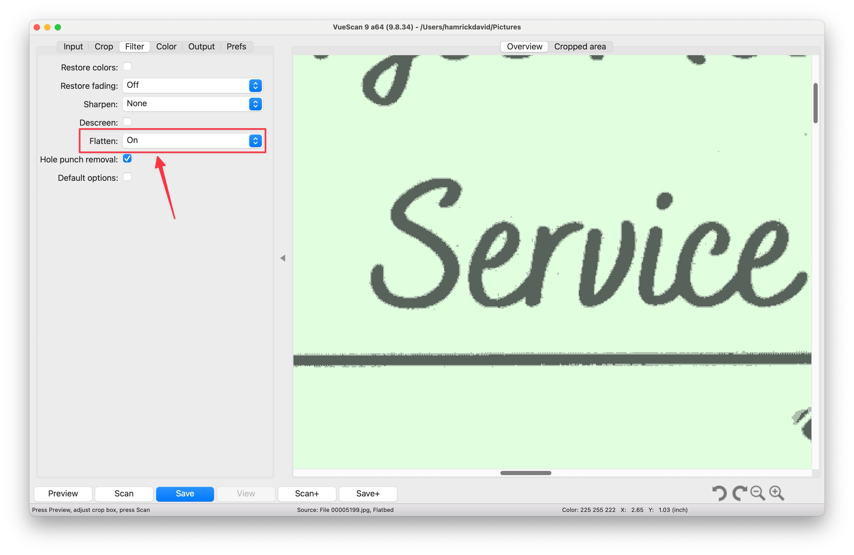 The VueScan User Interafce showing where the `Filter | Flatten` option is