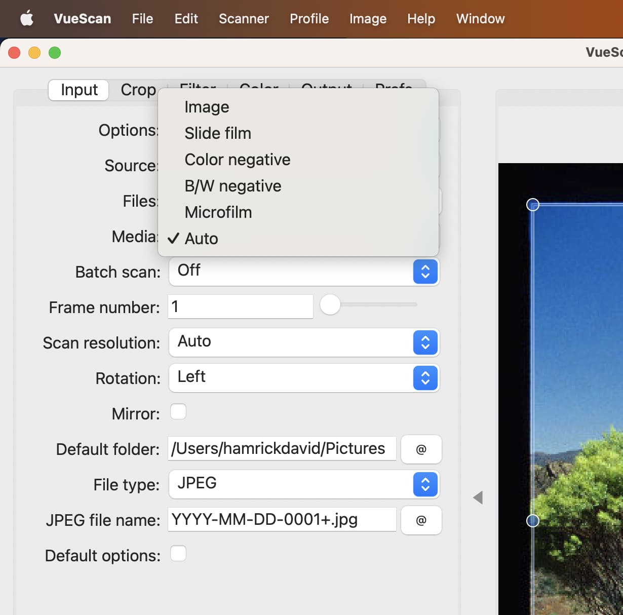 The VueScan User Interface showing the options panel with the Media type set to Auto - highlighting VueScan's ability to do automatic media detection in 9.7.98